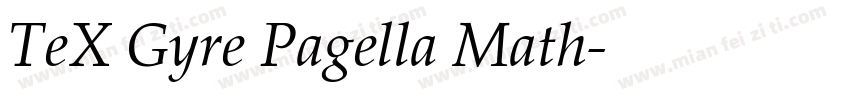 TeX Gyre Pagella Math字体转换